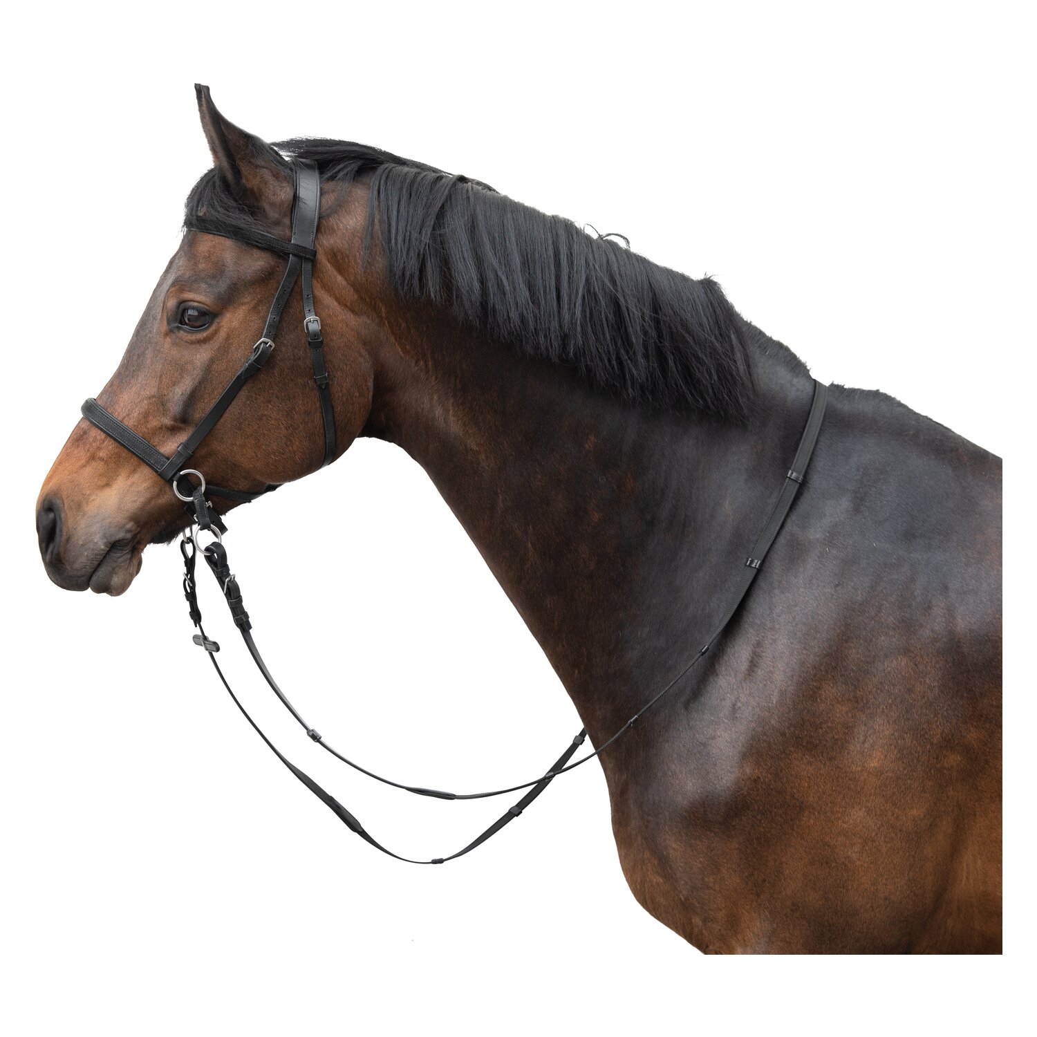 Horse-friends Gebisslose Zäumung  - schwarz