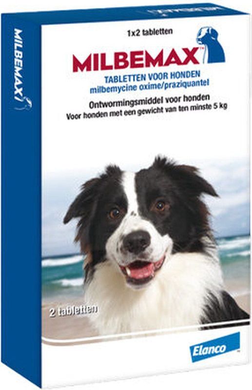 Miblemax - Grote Hond - 50 tabletten