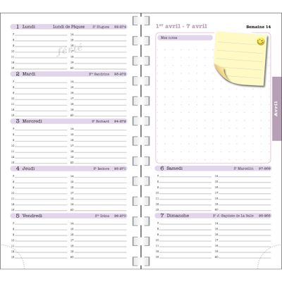 Agenda de poche Sophie Adde Lady 16S spiralé - 1 semaine sur 2 pages - 9 x 16 cm - Mésanges - Exacompta