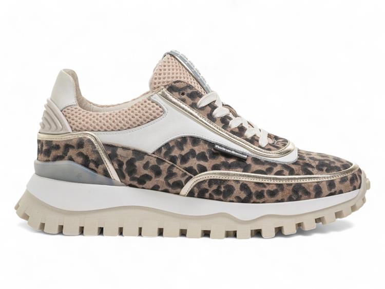 Floris van Bommel SFW-10131 taupe