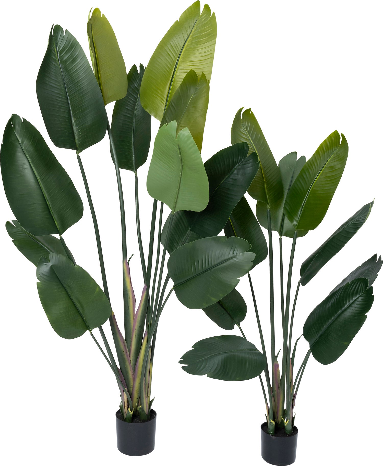 Intratuin kunstplant Strelitzia groen D 80 H 140 cm