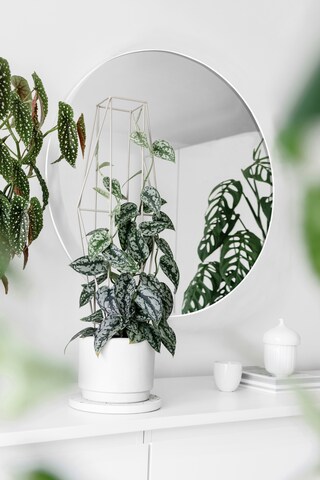Wandspiegel MILA rund 50 cm weiß