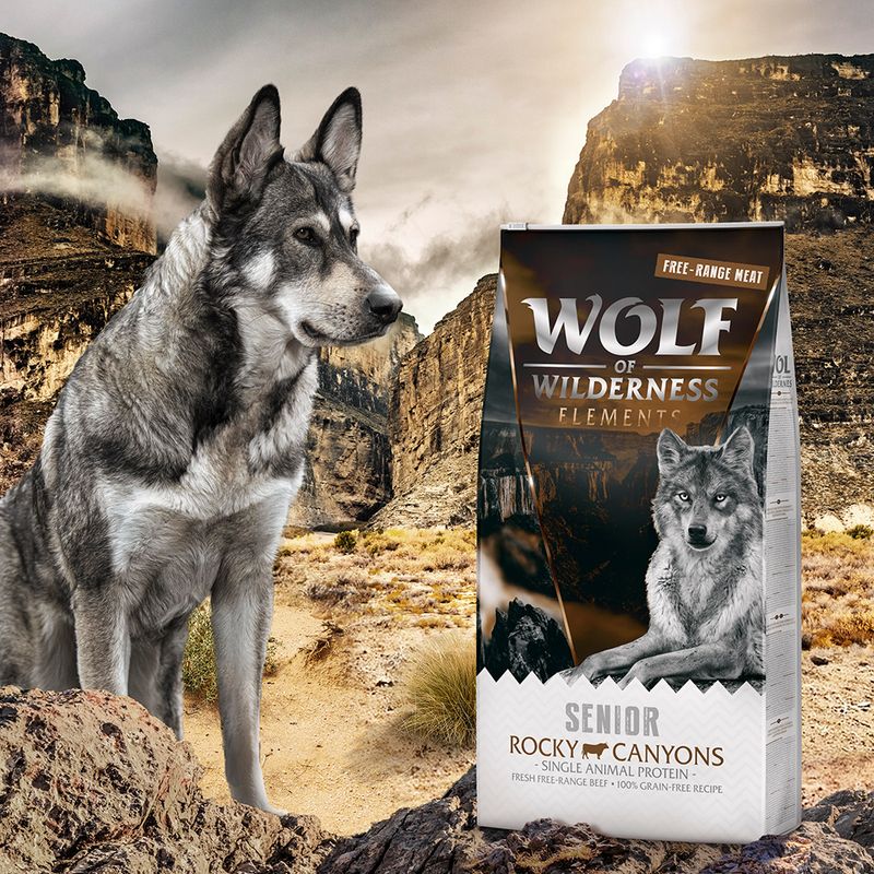 Wolf of Wilderness SENIOR Rocky Canyons bœuf élevé en liberté sans céréales