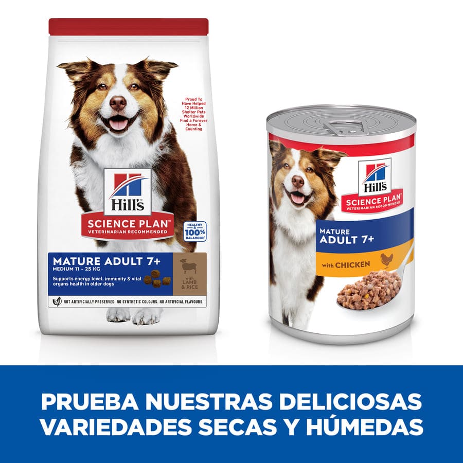 Ração Hill's Science Plan para cães adultos de porte médio com carne de cordeiro.