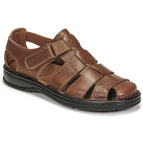 Casual Attitude - SLOWY Camel