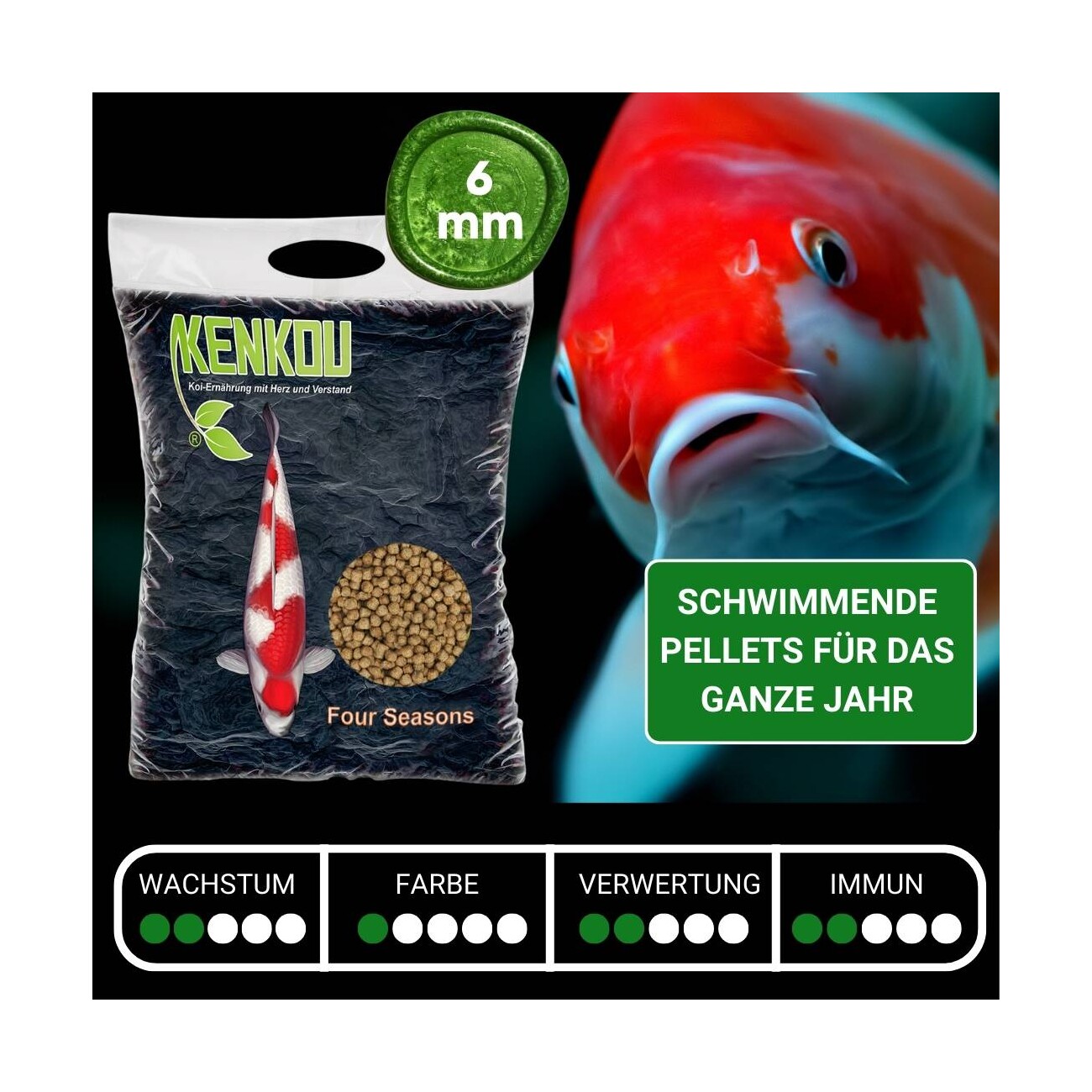 KENKOU Four Seasons 6mm 5 kg