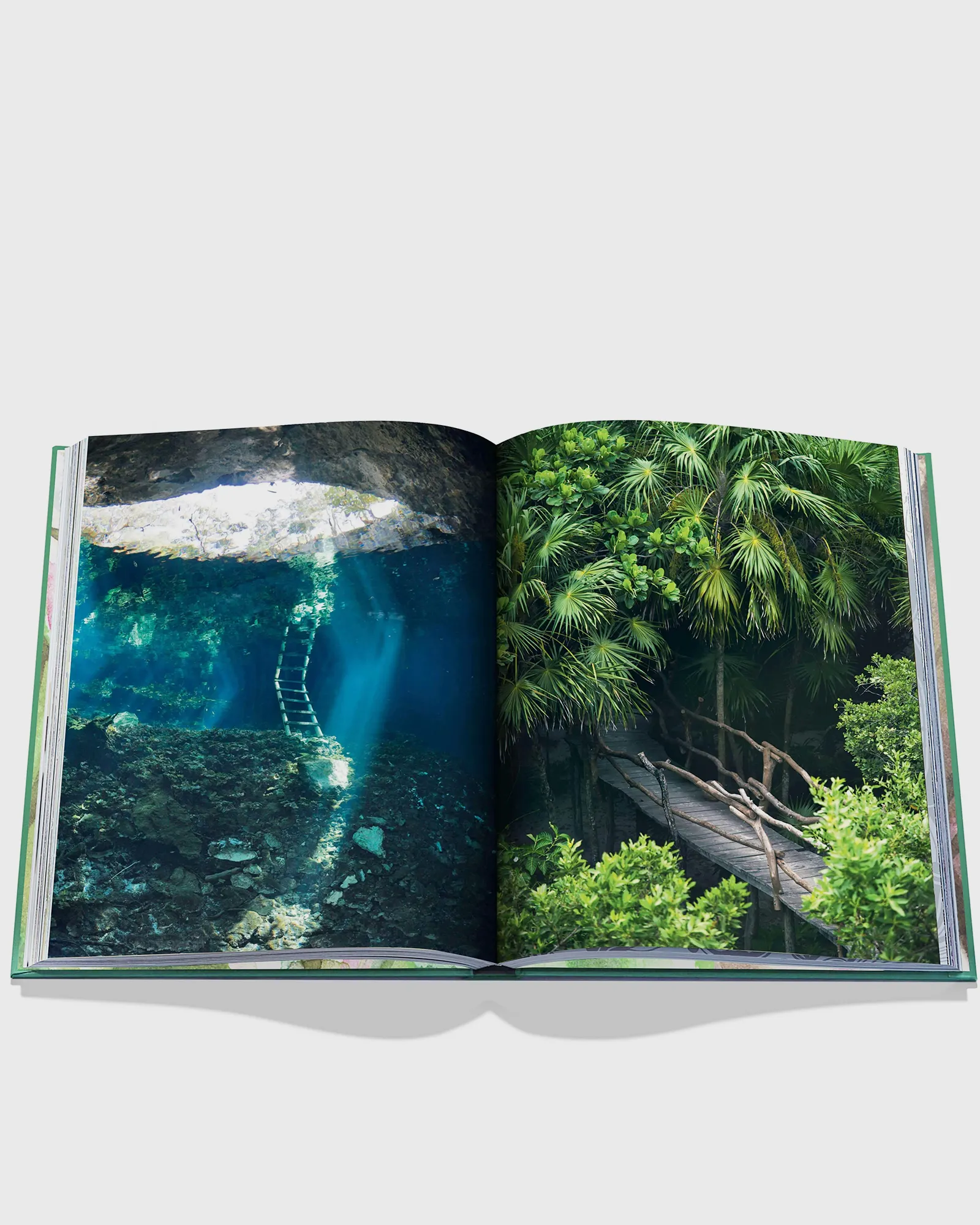 Assouline 