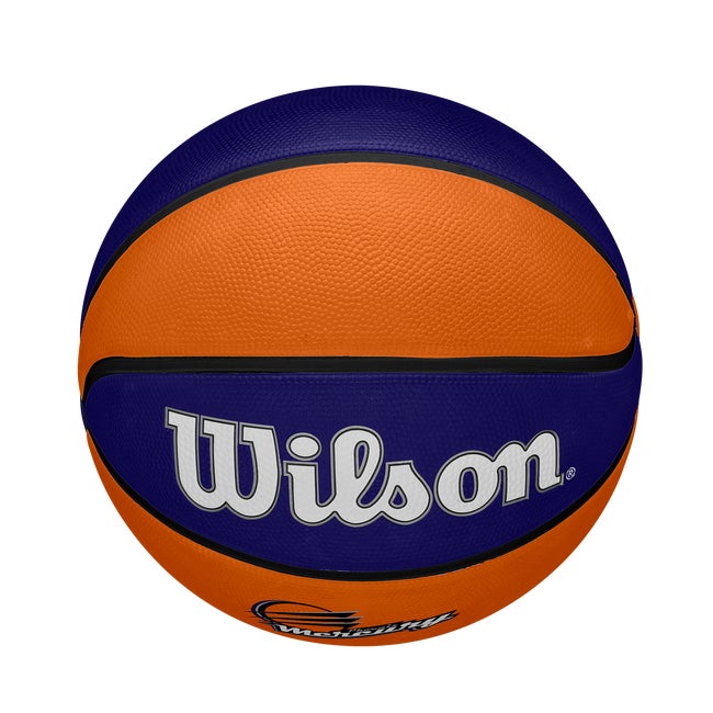 WNBA Tribute Basketball