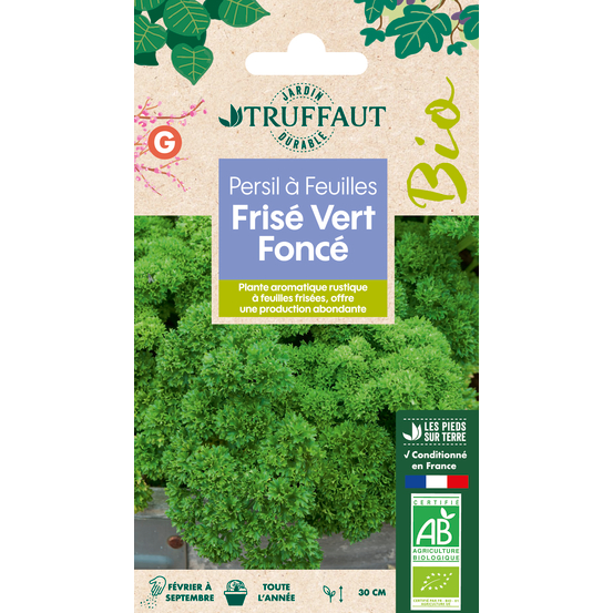 Persil Frisé Vert Foncé 4 g