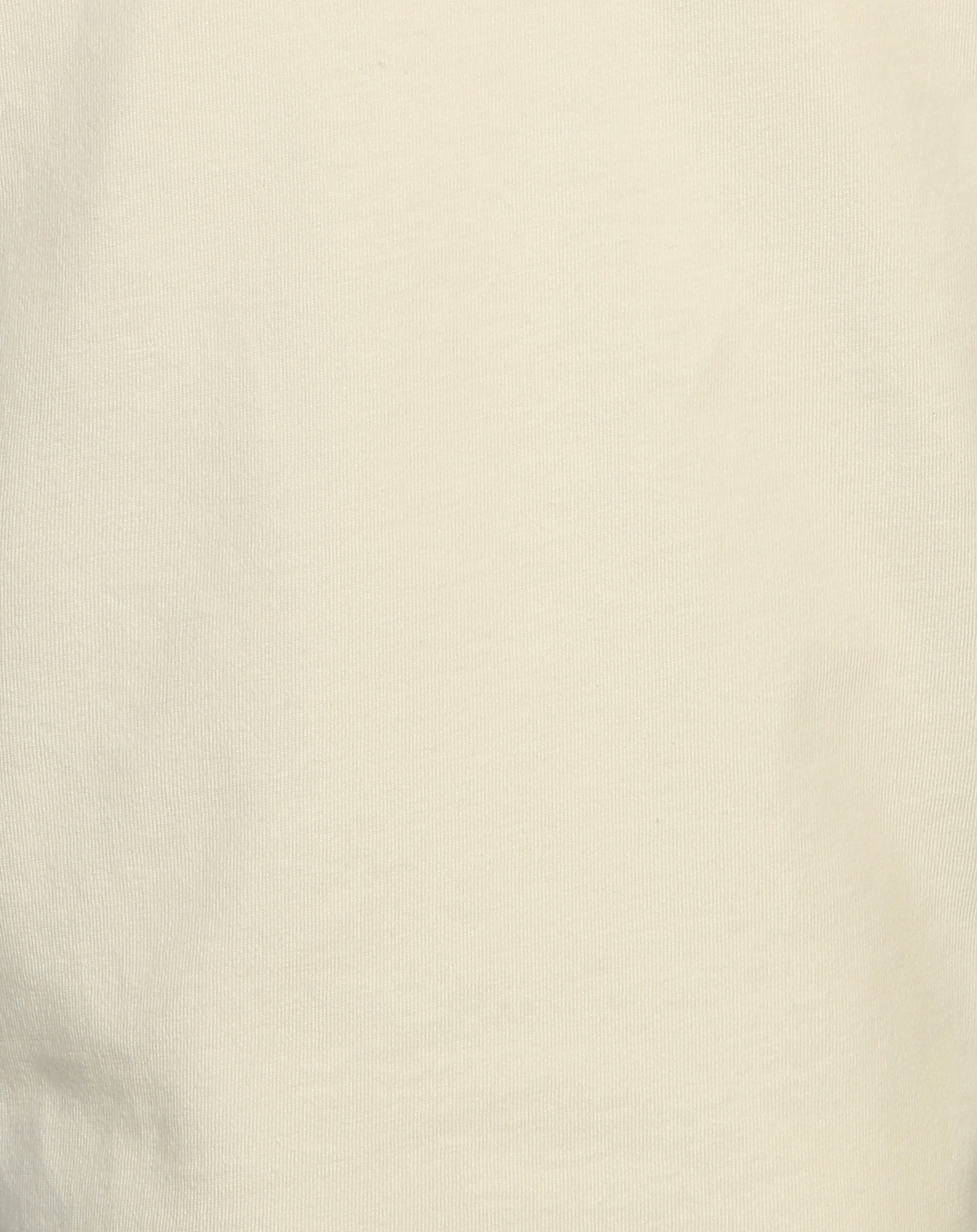 T-Shirt SKATE STRIPES in white whisper