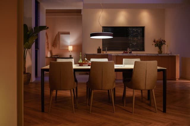 Philips Hue Enrave vedhængslampe (sort)