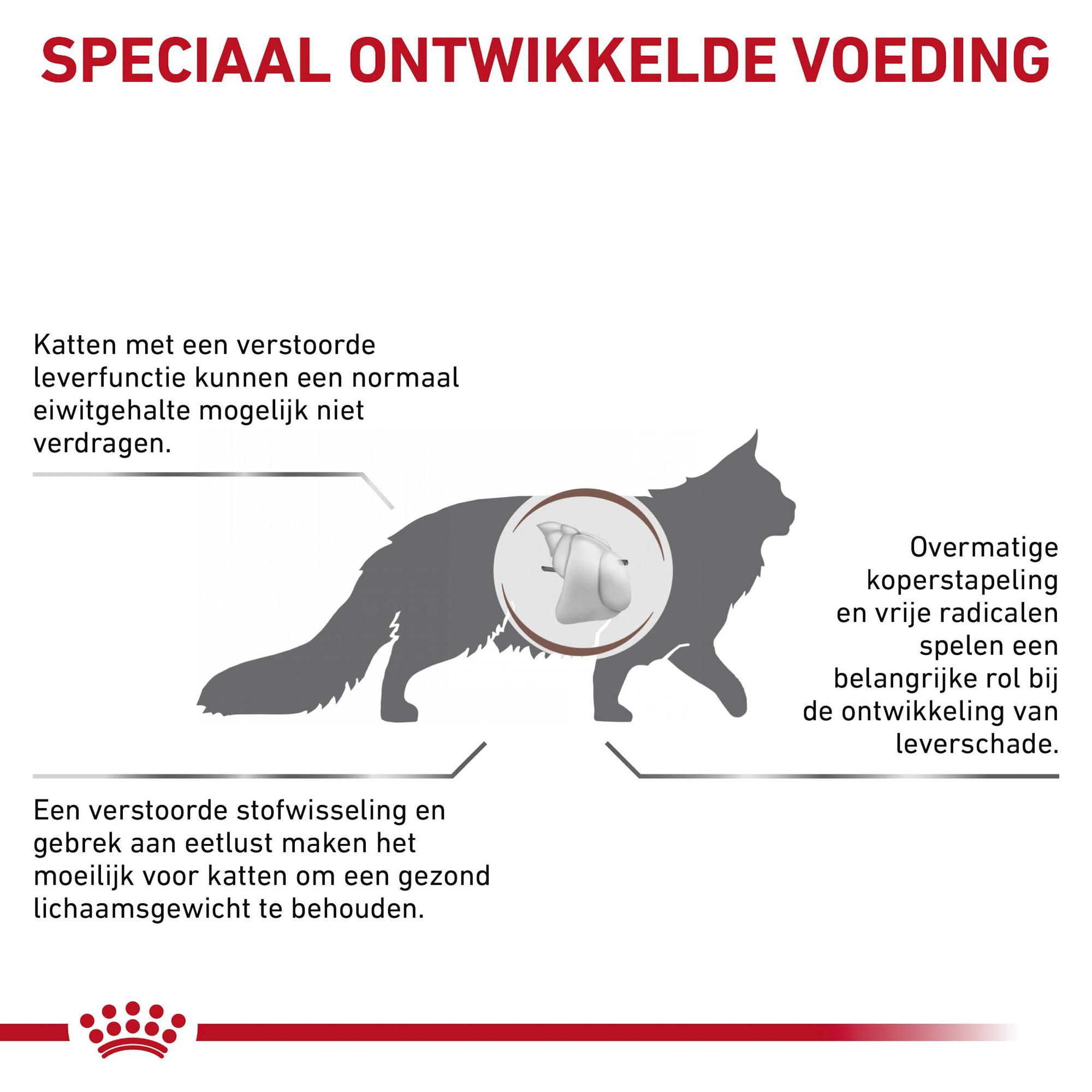 Royal Canin Hepatic Kat