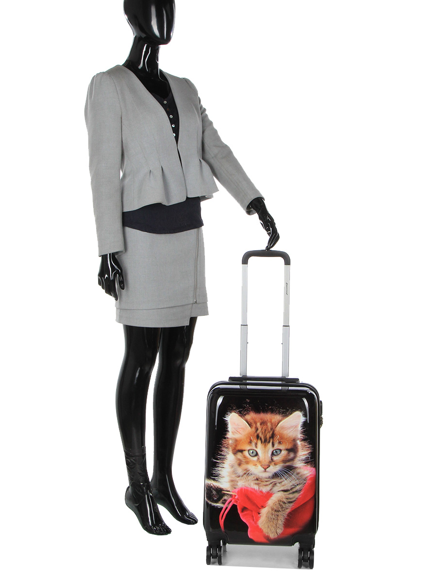Valise Madisson Chaton 55 cm