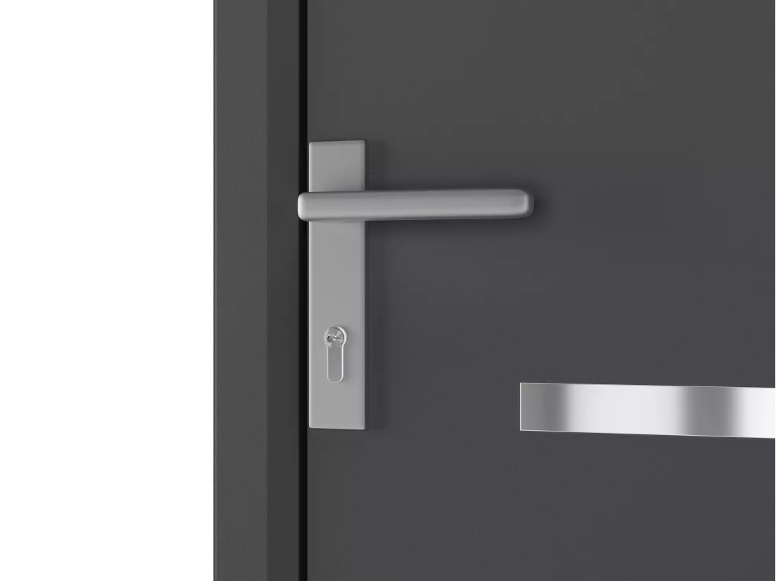 Porte d'entrée en aluminium H218 x L96 cm anthracite - poussant droit - AMARES