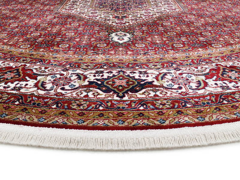 OCI Orient Teppich CENTAURI BIDJAR