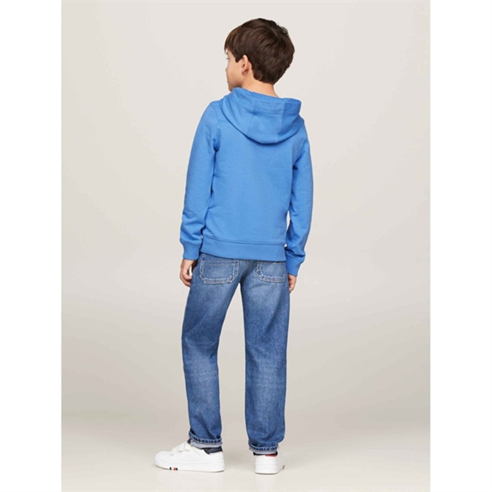 Køb Tommy Hilfiger Essential Hættetrøje Blue Spell