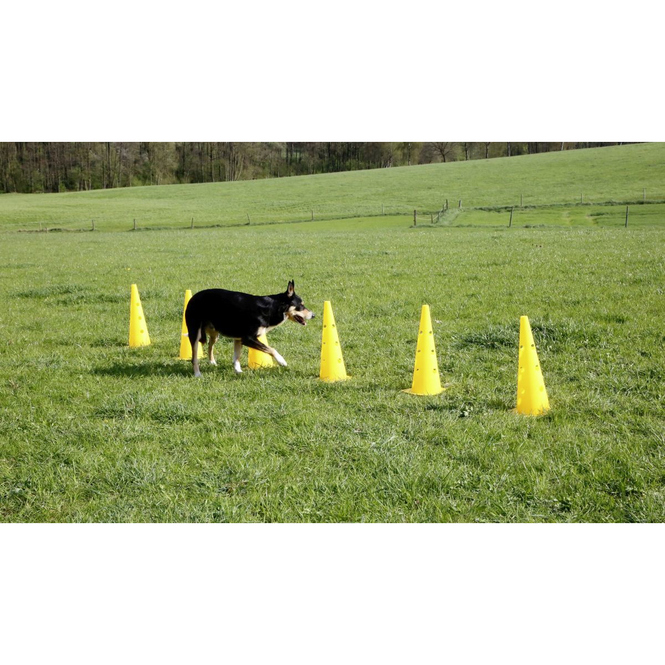 Hundespielzeug - Agility - Pylonen-Hürden Set