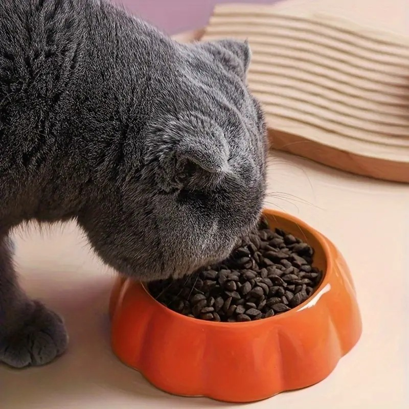 (Ø15cm) Keramik Futter Napf Katzen Schüssel Haustier Wasser Schale - Orange