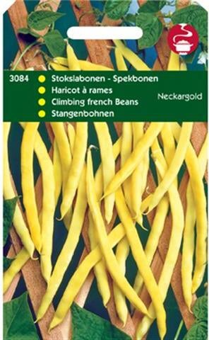 groentezaad Spekbonen geel (Phaseolus vulgaris 'Neckargold')