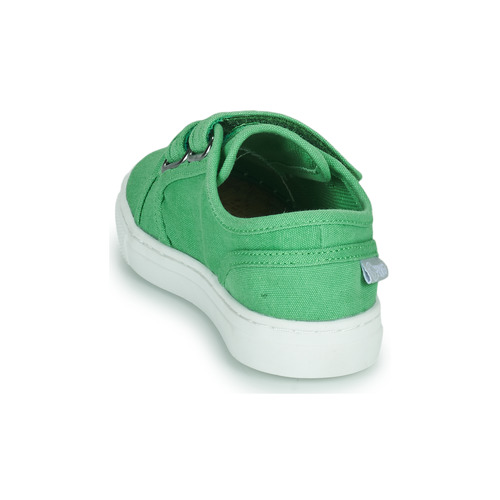 Primigi - 1960122 - Vert