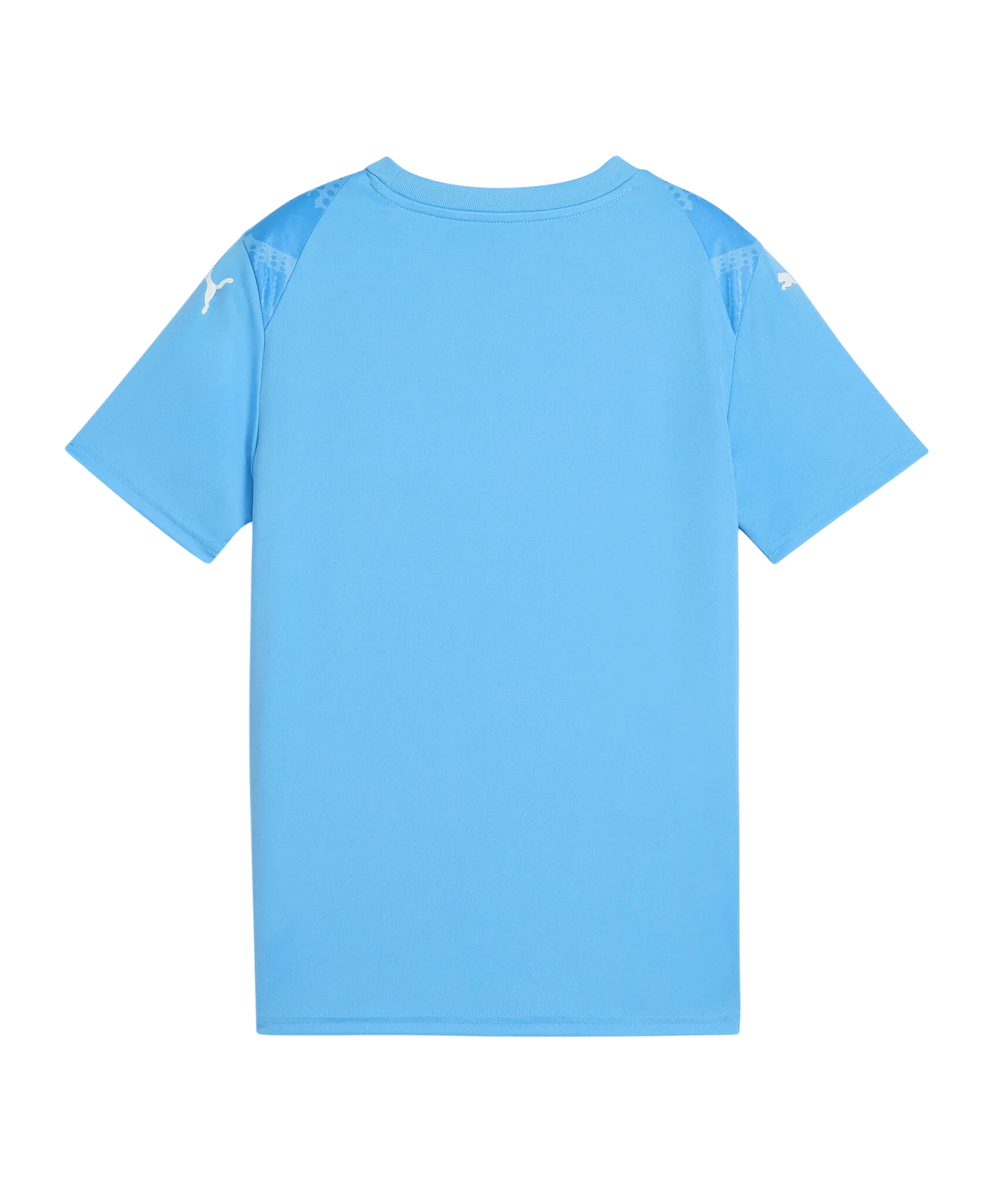 PUMA teamULTIMATE Trikot Kids Blau F18
