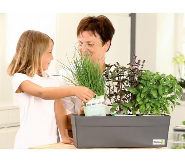 GREENBAR® Wasserstandsanzeiger