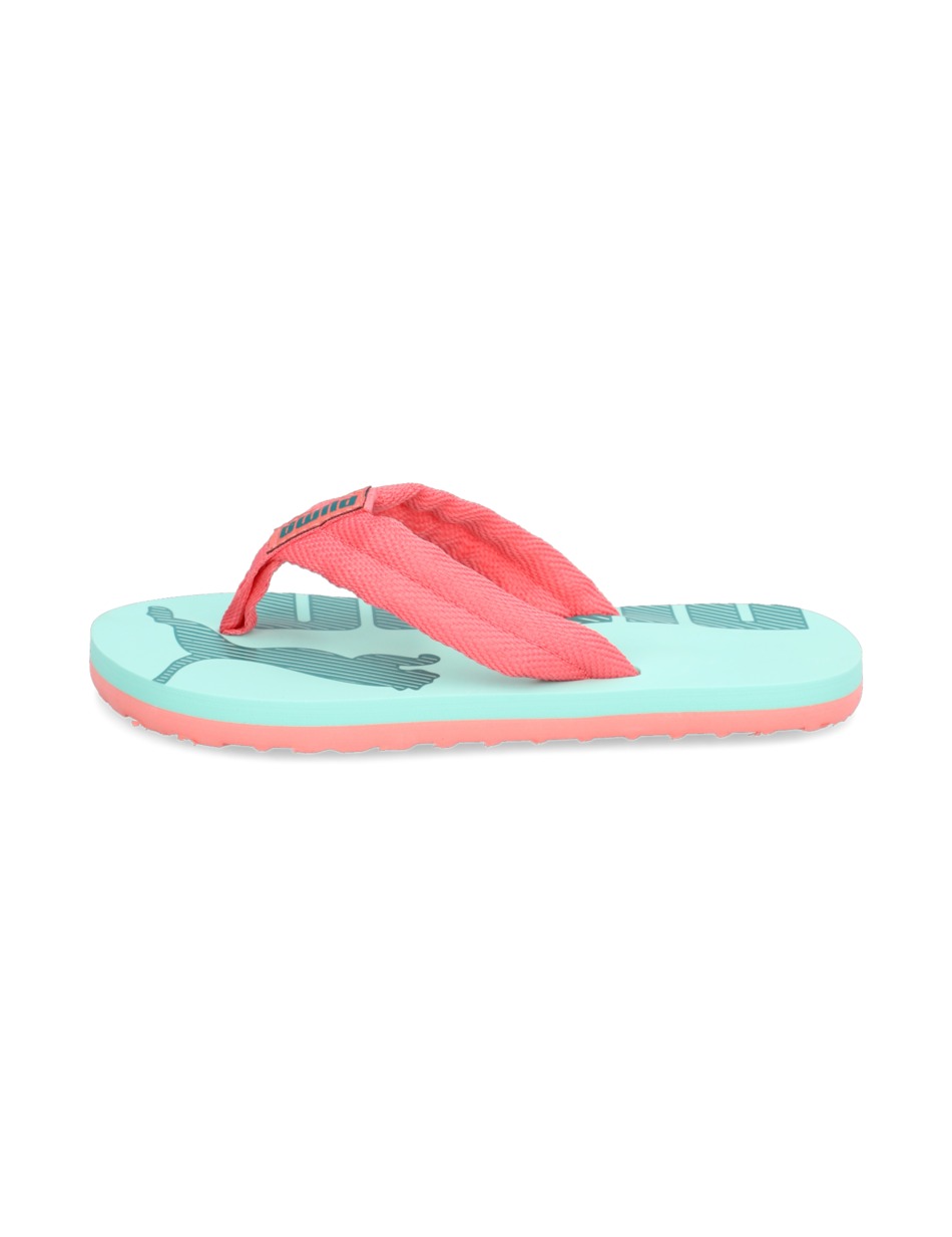 Epic Flip v2