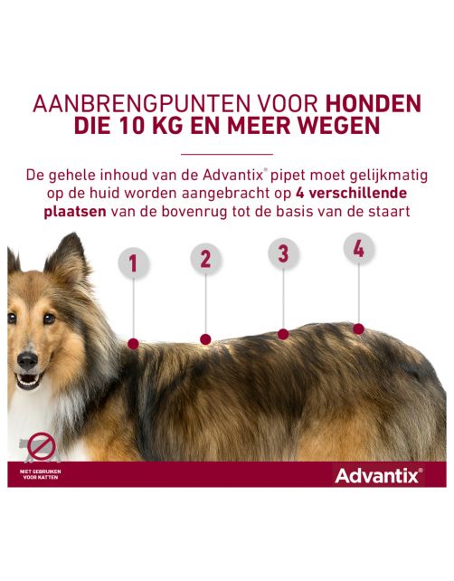 Advantix Spot On 400 4 ml - Anti vlooien en tekenmiddel