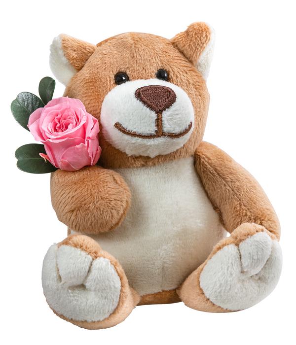 Dehner Kuschelbär mit Longlife-Rose, ca.