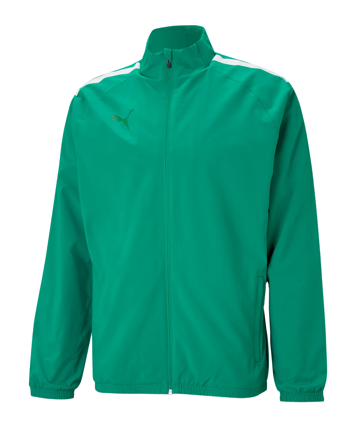 PUMA teamLIGA Sideline Jacke Kids Grün Weiss F05