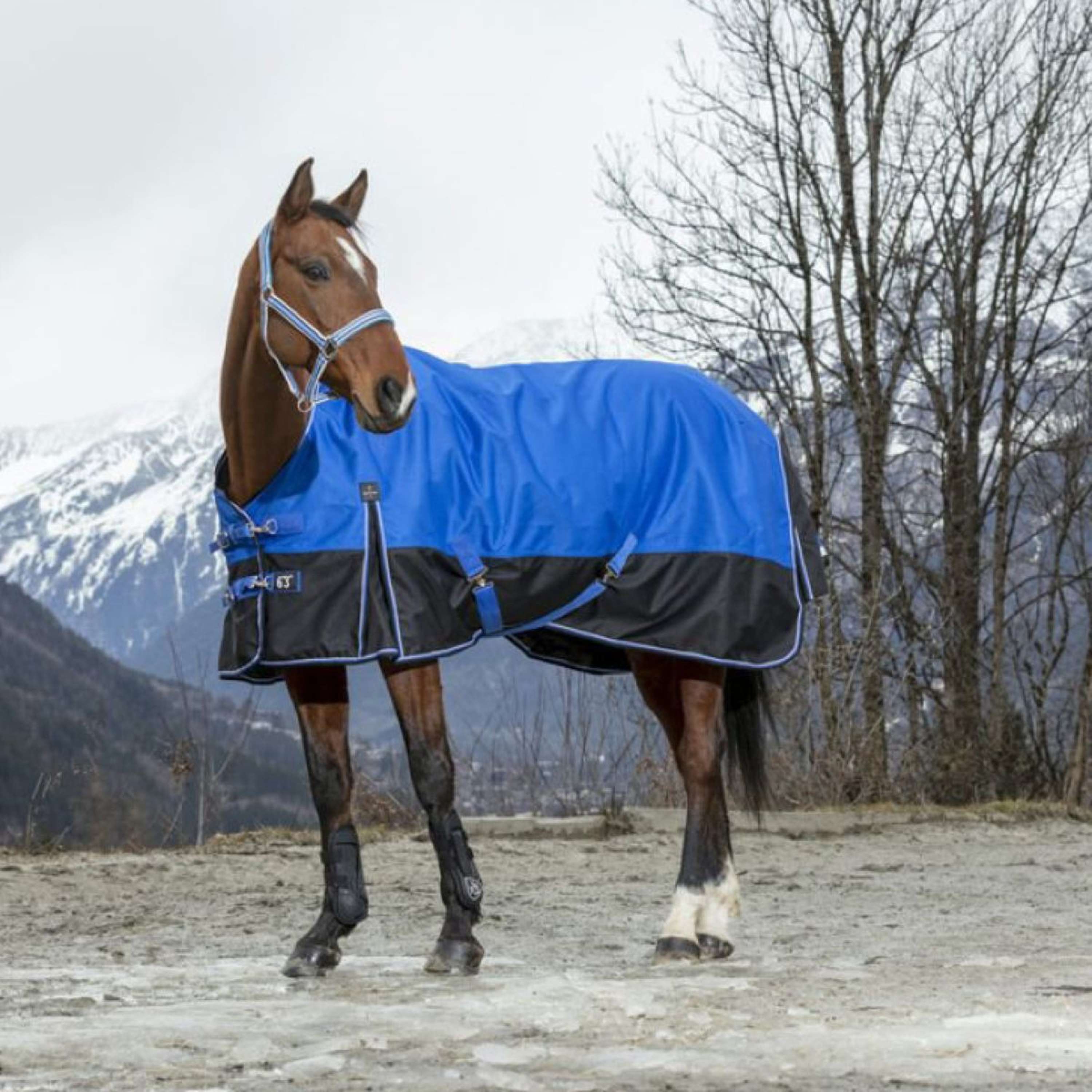EQUITHÈME Outdoordeken Tyrex 1200D Aisance 300g met Halve Hals Blauw/Z