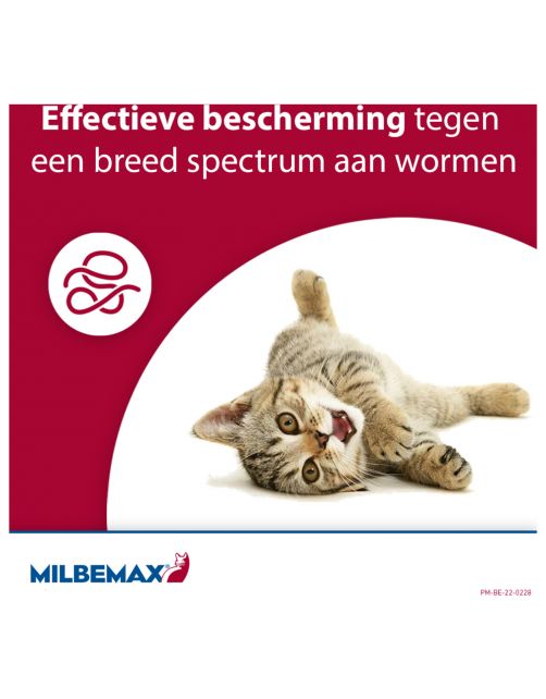 Milbemax Milbemax Kat - Anti wormenmiddel