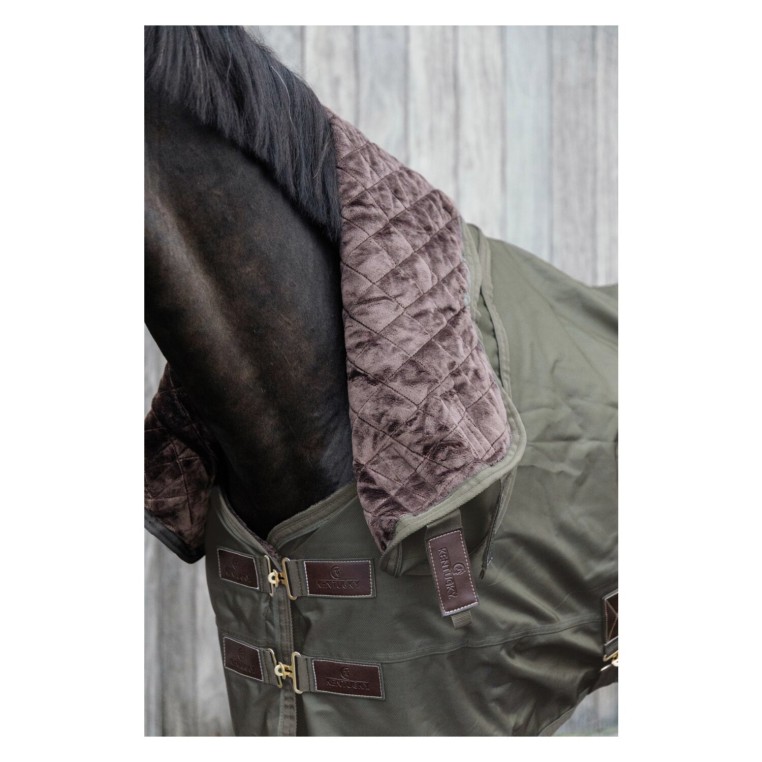 KENTUCKY Weidedecke All Weather Waterproof Pro 160 g - khaki