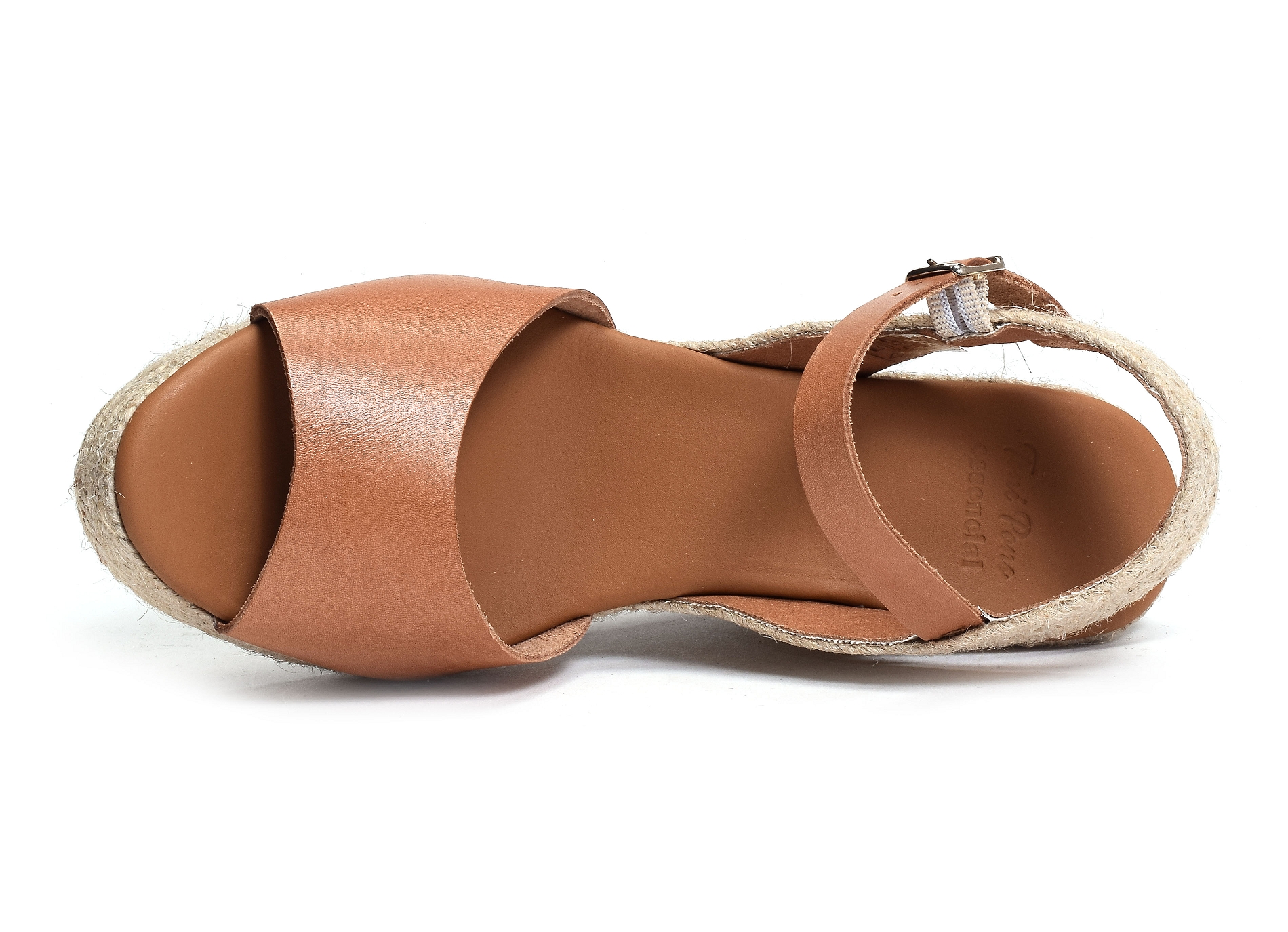 Iman camel