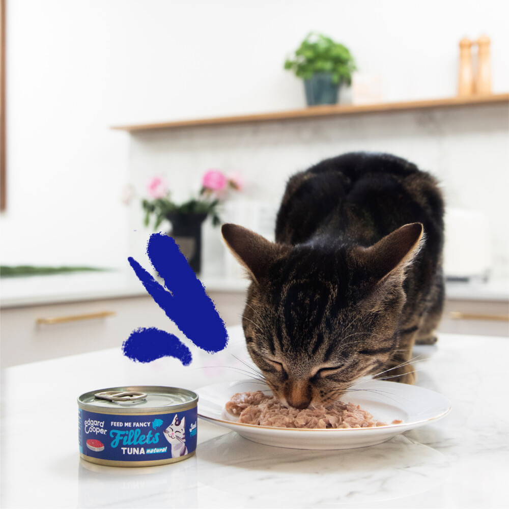 Edgard & Cooper Kattenvoer Fillets Tonijn70 gr