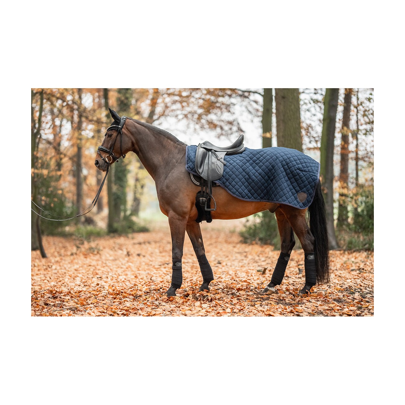 Equinate Ausreitdecke James mit Teddyfell