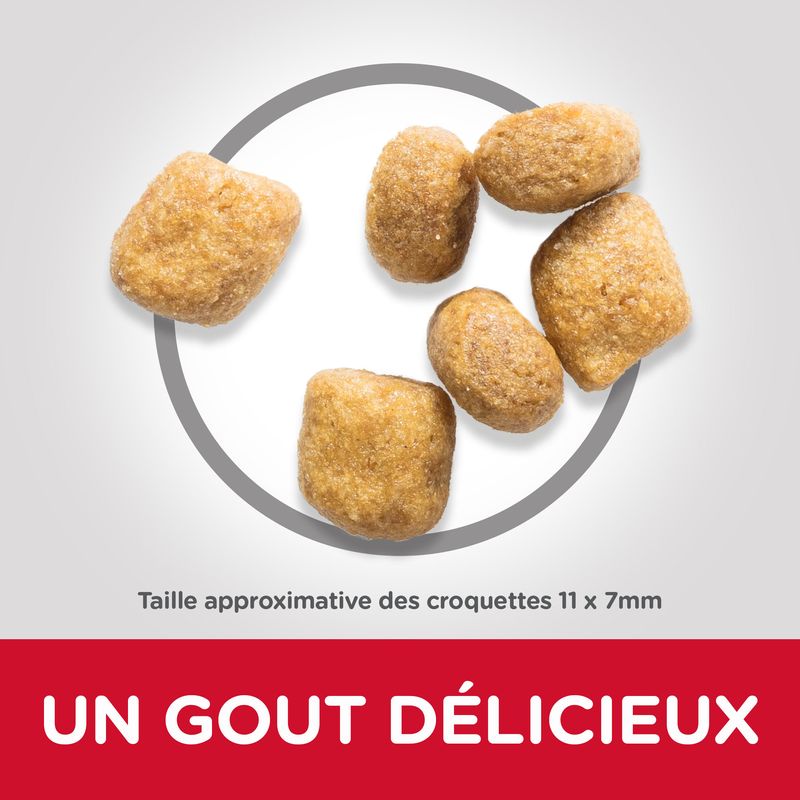 Hill's Science Plan Adult Oral Care poulet à prix discount sur bitiba.fr
