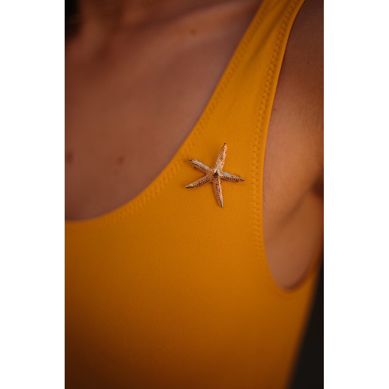 broche étoile plaqué argent - CLÉIA