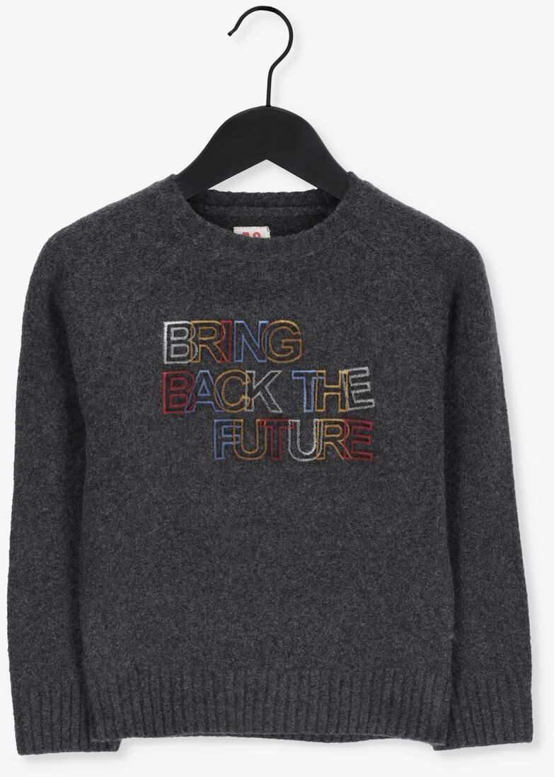 AO76 grijze ao76 trui adrian c-neck future