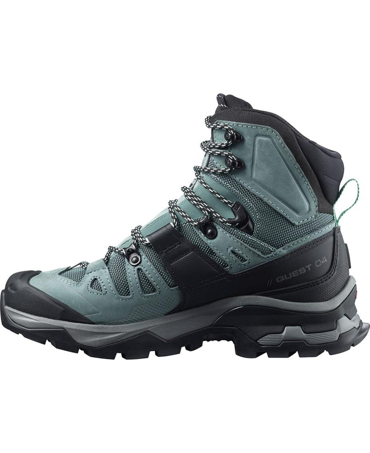 Salomon<br>Quest 4 GTX Ws