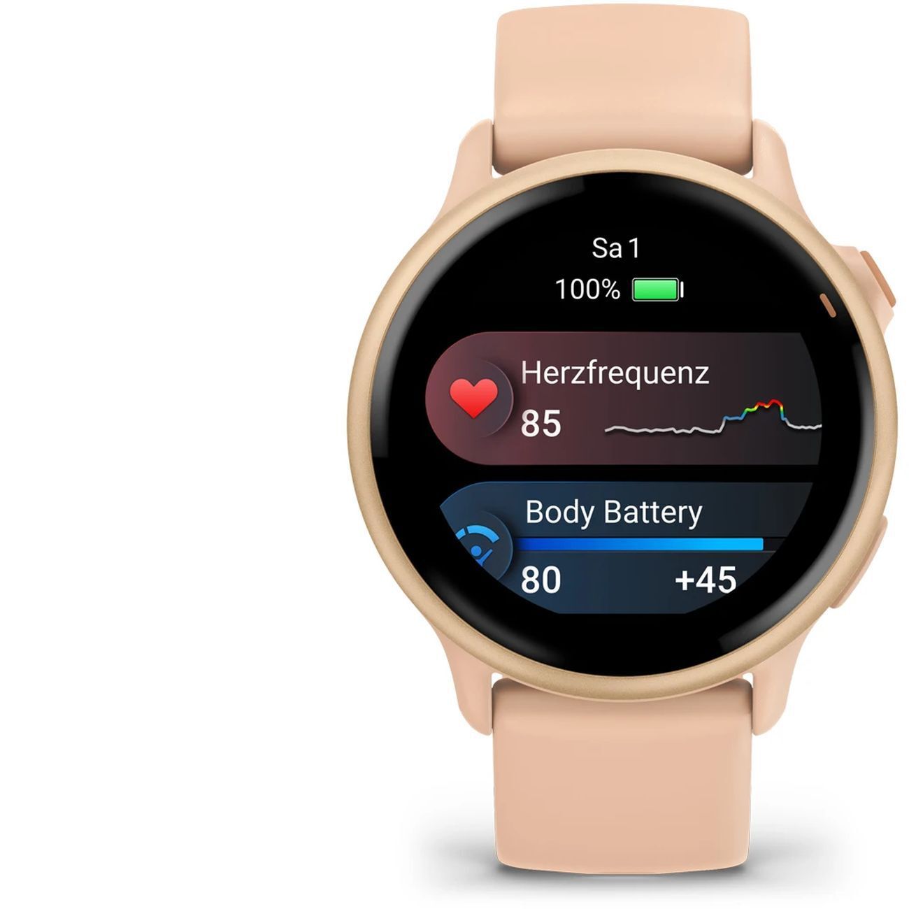 Garminvivoactive 6 GPS WW