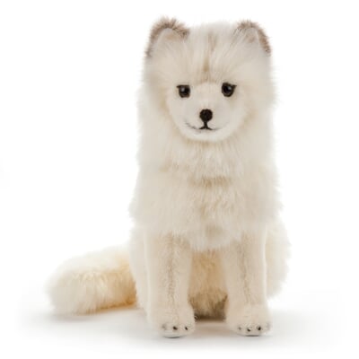 Kösener Polarfuchs