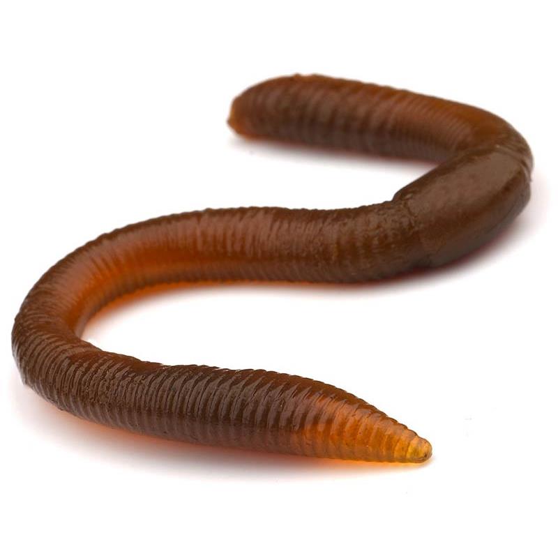 Leurre Souple Freestyle Twitch Worm - 10.6Cm - Par 8