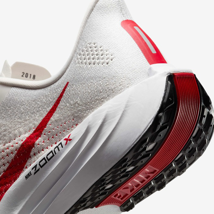 Pegasus Plus Herre 003/Platinum Tint/Phantom/Black/University Red