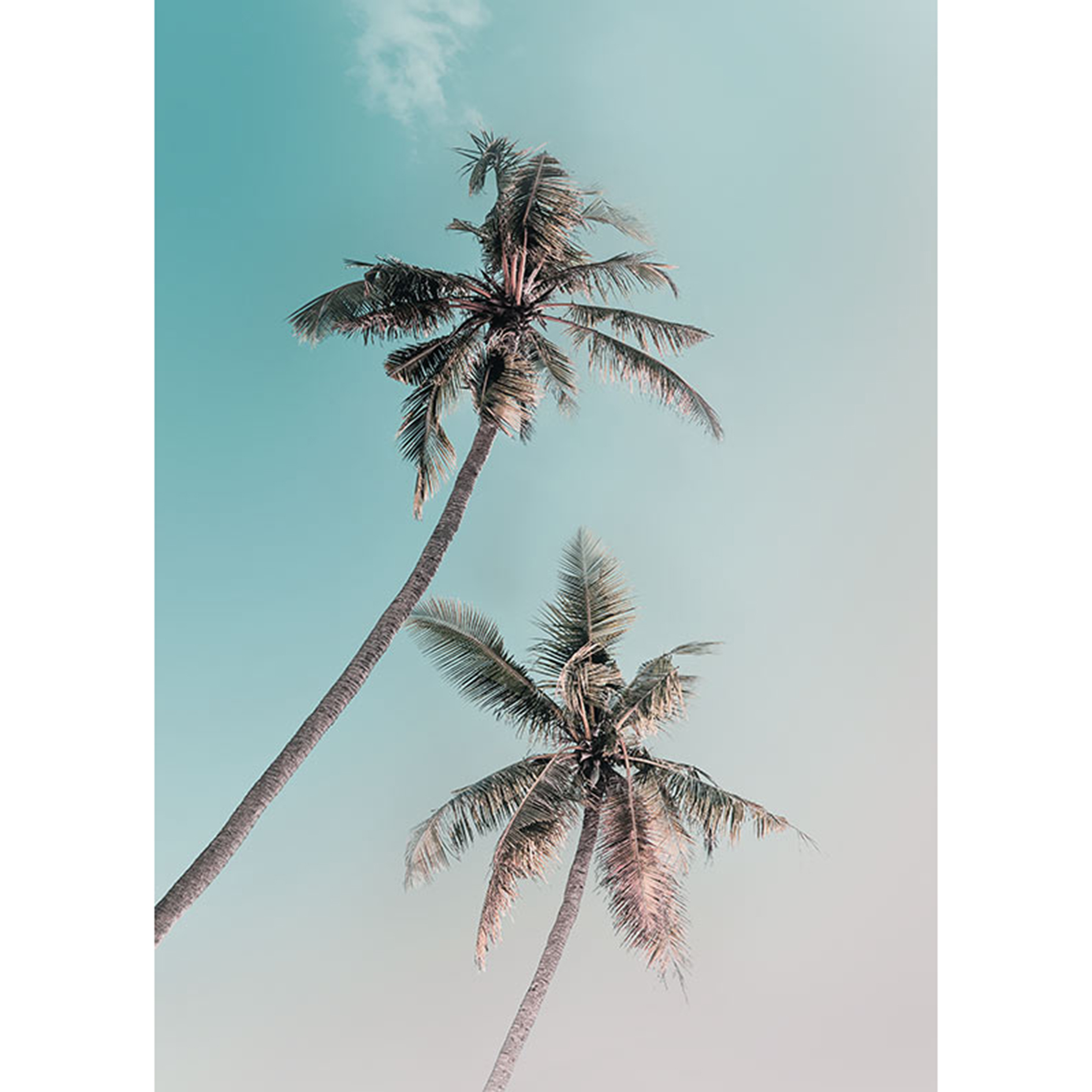 Wandbild MIAMI PALMS - 50x70 cm