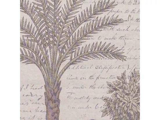 Toile imprimée en parchemin
