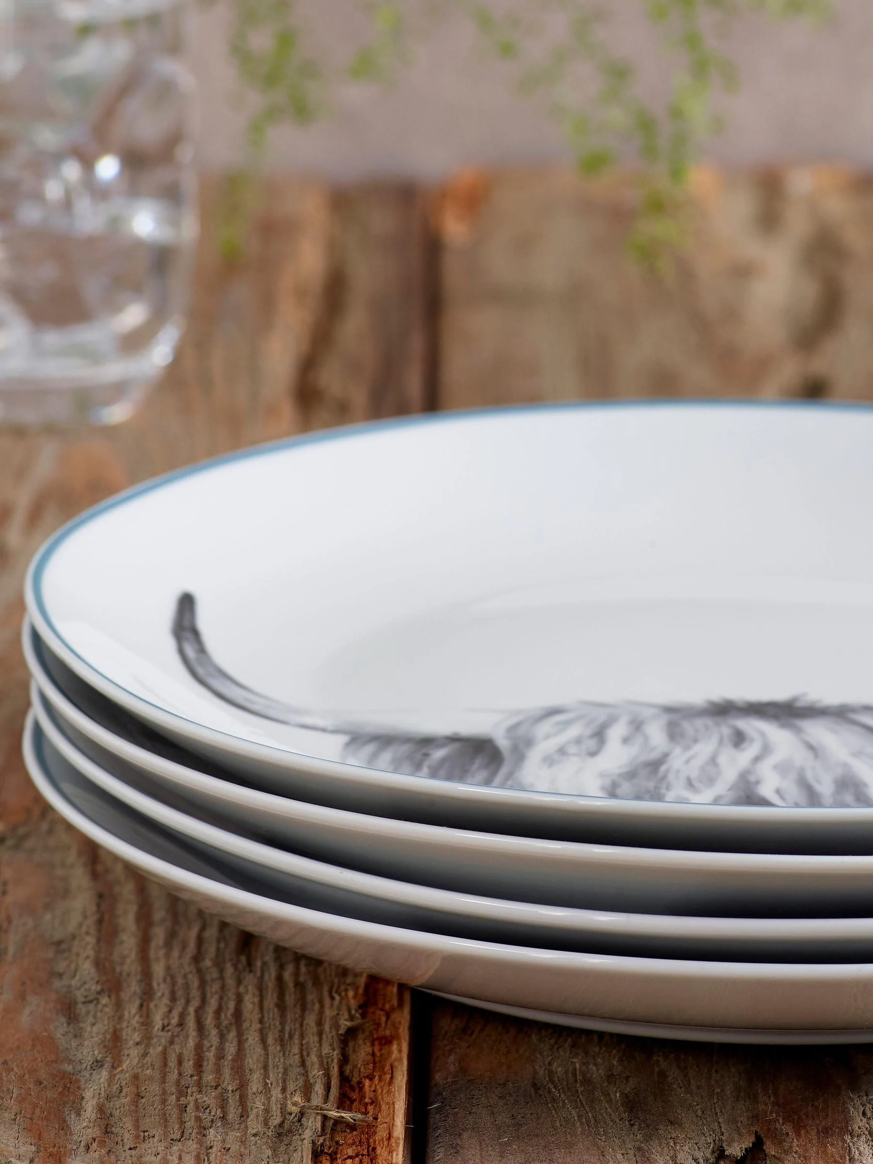 Set van 4 hamish dinerborden