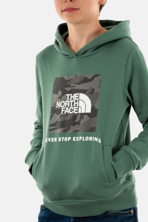 Sweat the north face box p/o o241 dark sage/asphalt grey