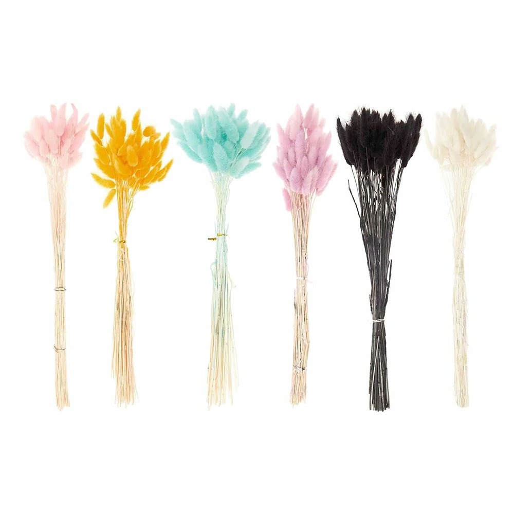 6 bouquets de lagurus séchés multicolores 70 cm