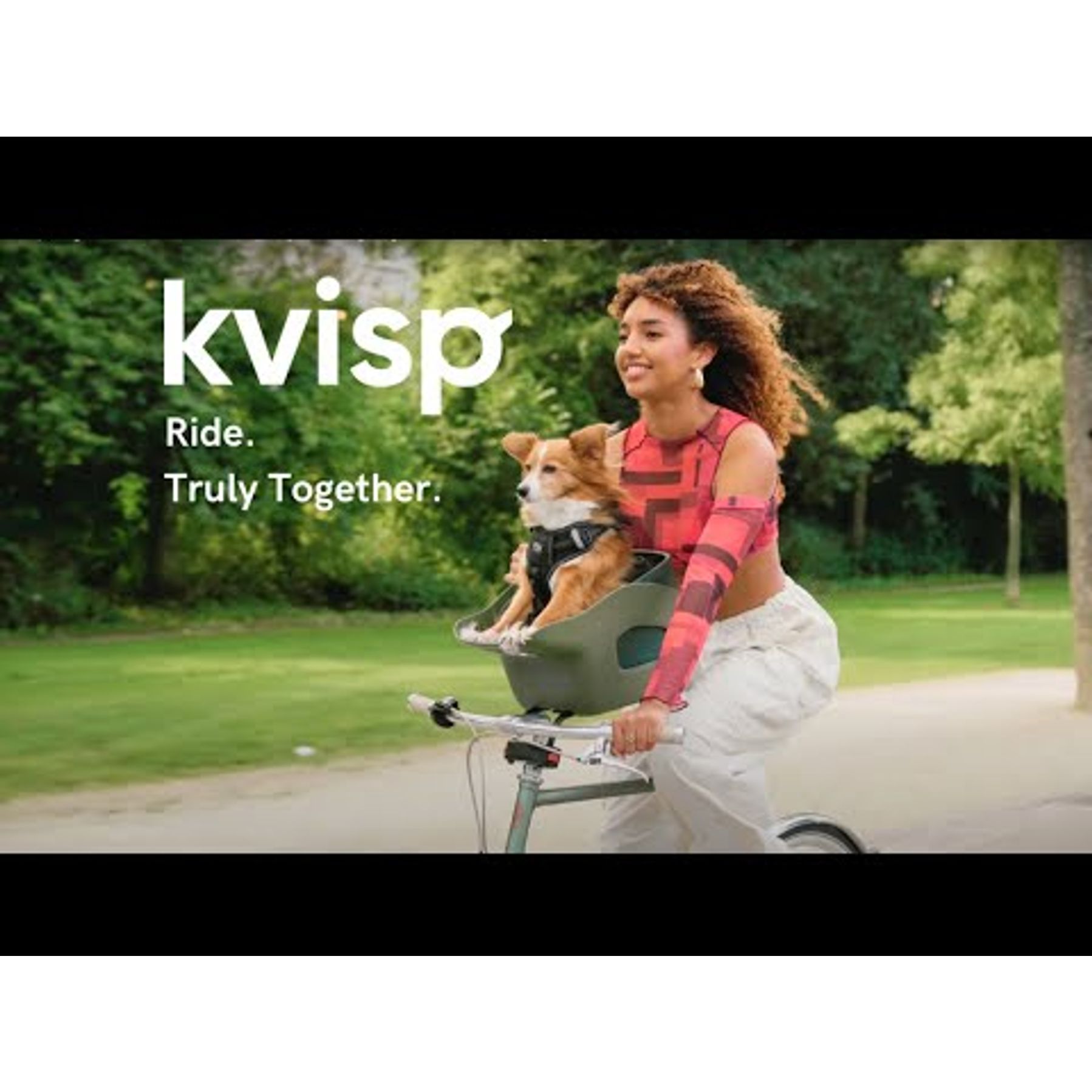 Kvisp Hondenmand met Harnas